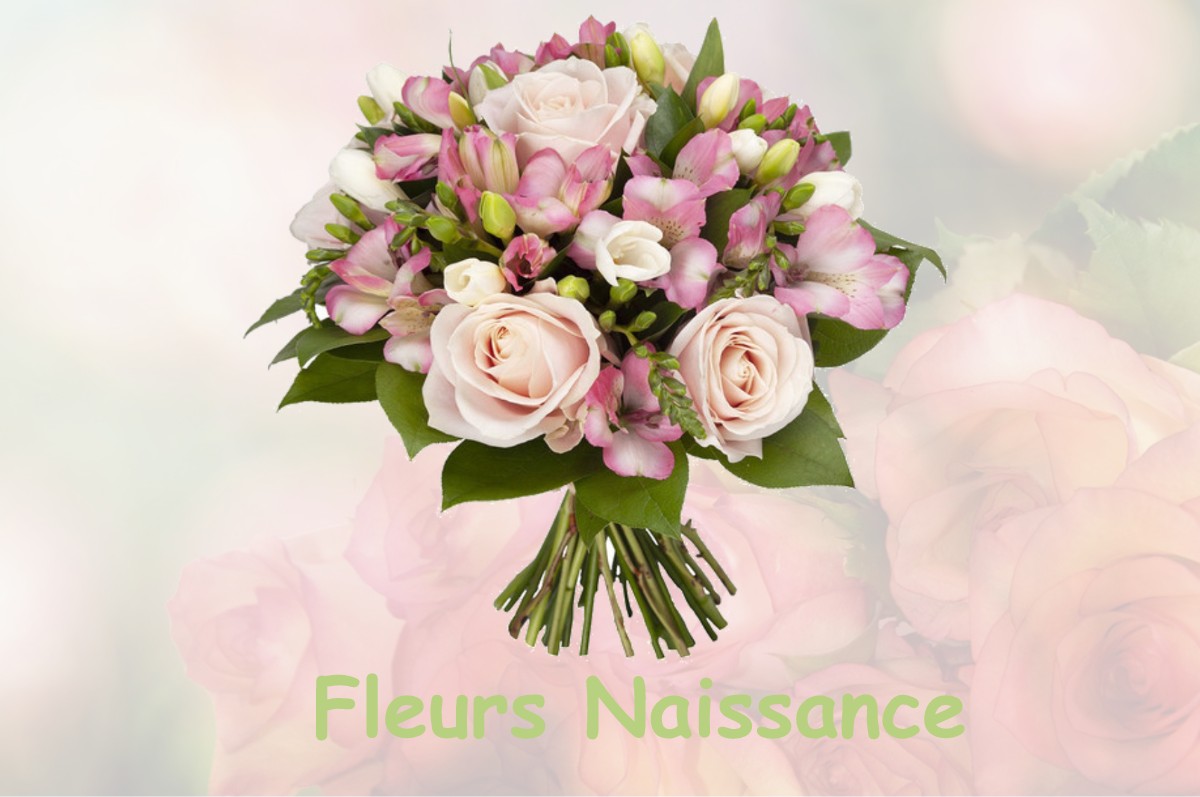 fleurs naissance NOUEILLES