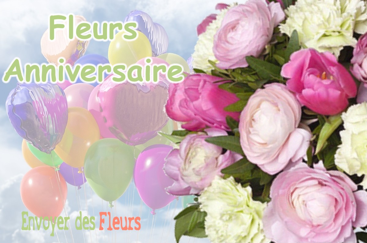 lIVRAISON FLEURS ANNIVERSAIRE à NOUEILLES