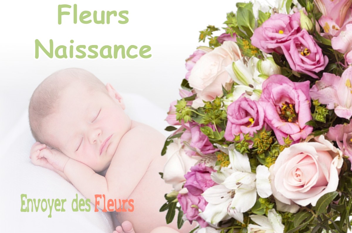 lIVRAISON FLEURS NAISSANCE à NOUEILLES